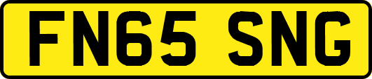 FN65SNG