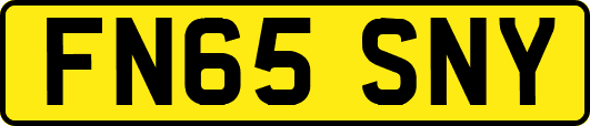 FN65SNY
