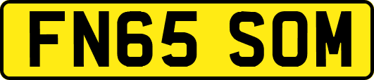FN65SOM
