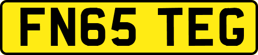 FN65TEG