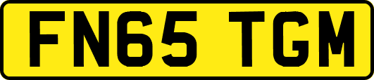 FN65TGM