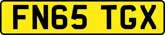 FN65TGX