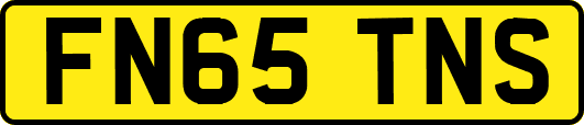 FN65TNS
