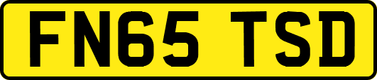 FN65TSD