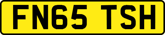 FN65TSH