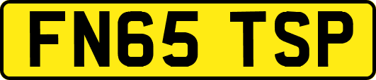 FN65TSP