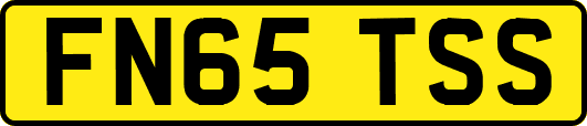 FN65TSS