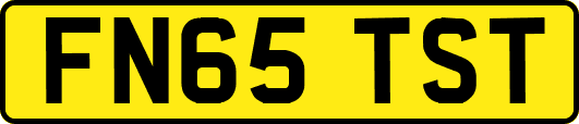 FN65TST