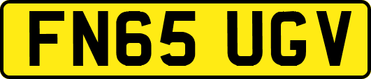 FN65UGV