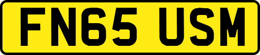 FN65USM