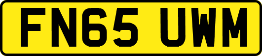 FN65UWM