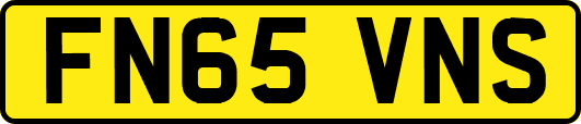 FN65VNS
