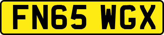FN65WGX