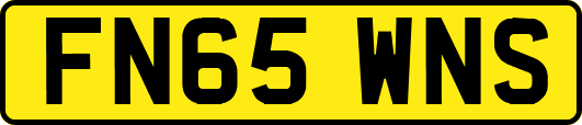 FN65WNS