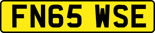 FN65WSE