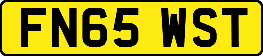 FN65WST