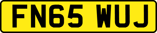 FN65WUJ