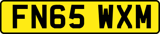 FN65WXM