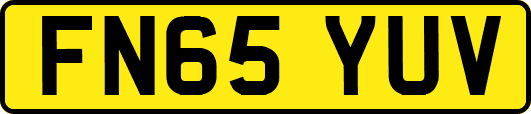 FN65YUV