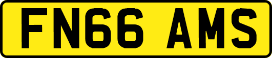 FN66AMS