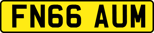 FN66AUM