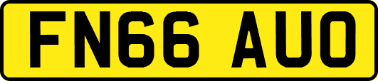 FN66AUO