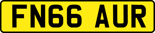 FN66AUR