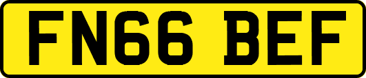 FN66BEF