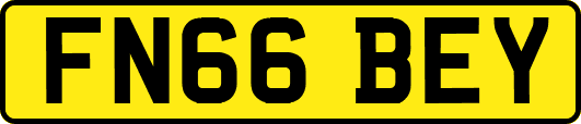 FN66BEY