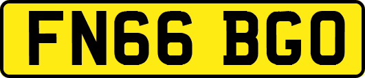 FN66BGO