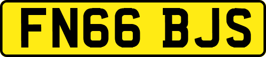 FN66BJS