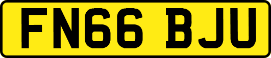 FN66BJU