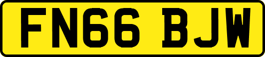 FN66BJW