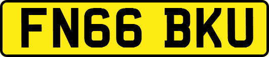 FN66BKU