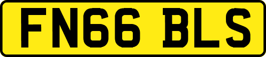 FN66BLS