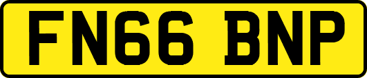 FN66BNP