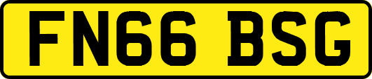 FN66BSG