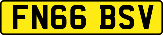 FN66BSV