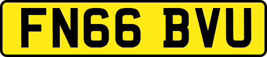 FN66BVU