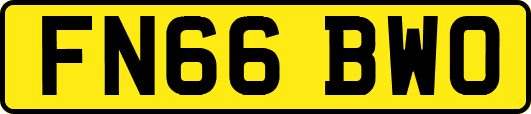 FN66BWO