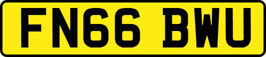 FN66BWU