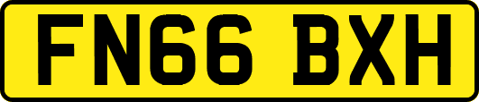 FN66BXH