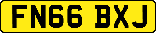 FN66BXJ