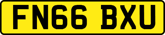 FN66BXU