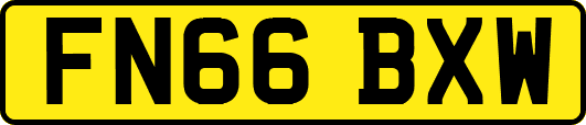 FN66BXW
