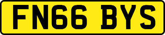 FN66BYS