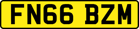FN66BZM