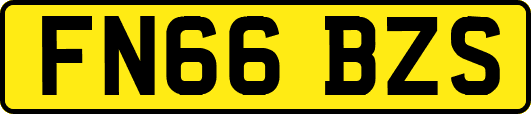 FN66BZS