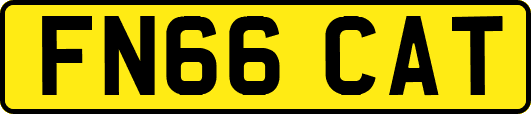 FN66CAT