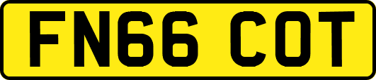 FN66COT